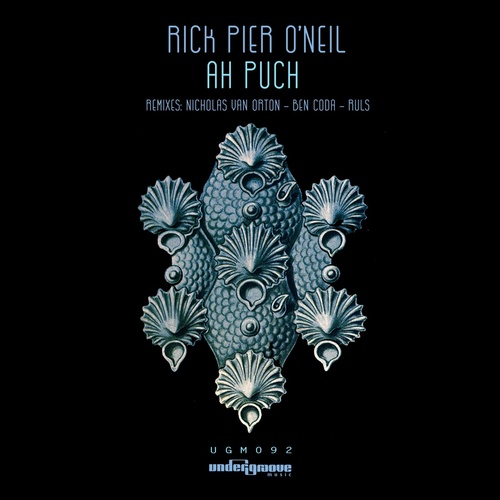 Rick Pier O'Neil - Ah Puch (Ruls Remix)