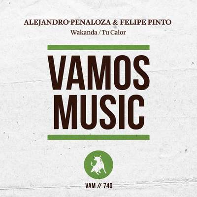 Alejandro Penaloza, Felipe Pinto - Wakanda (Extended Mix)