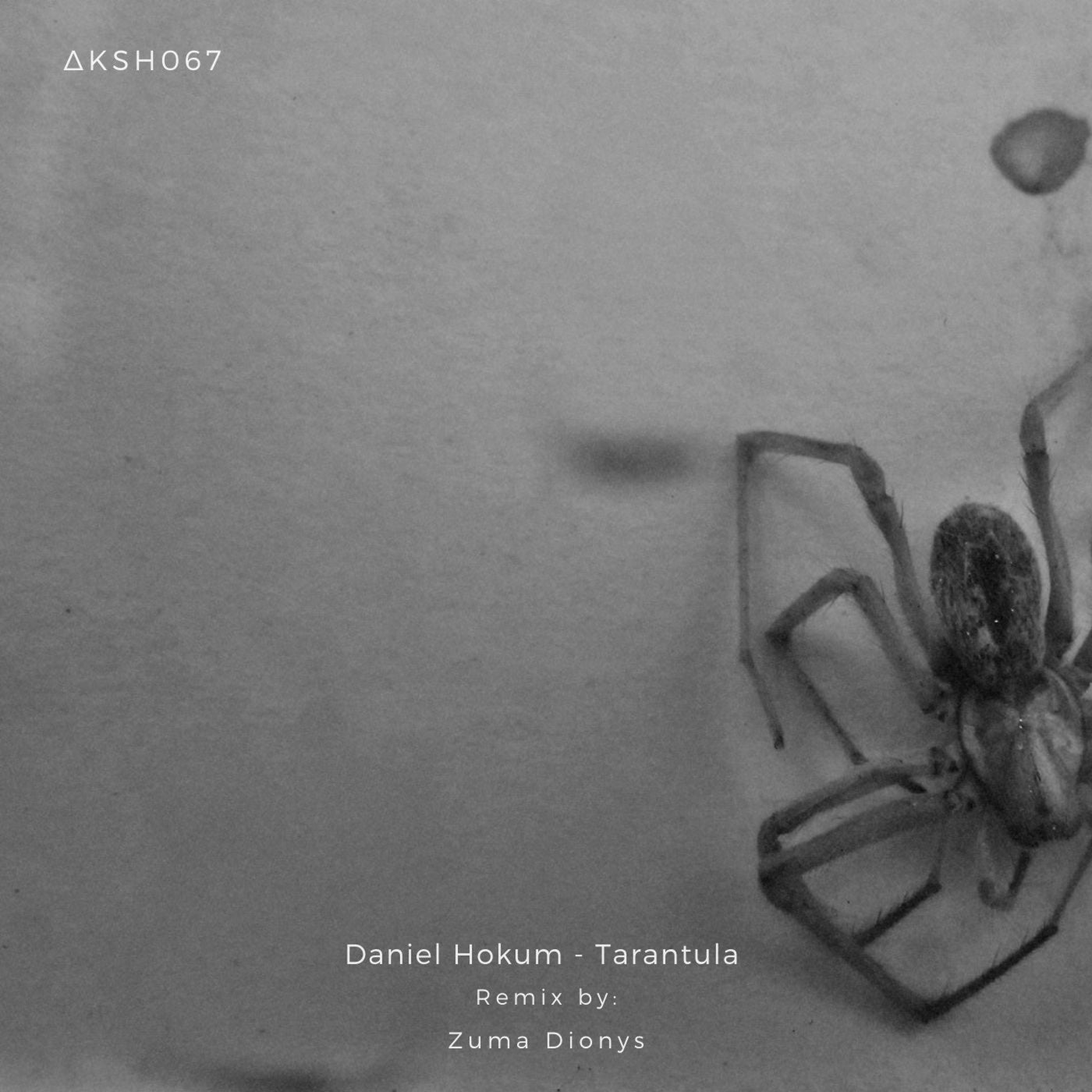 Daniel Hokum - Tarantula (Zuma Dionys Remix)