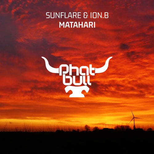 Sunflare & Ion.B - Matahari (Extended Mix)