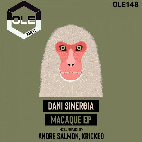 Dani Sinergia - Macaque (Andre Salmon, Kricked Dub Mix)