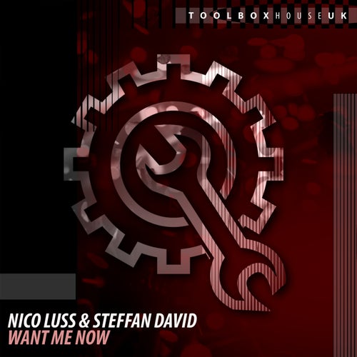 Nico Luss & Steffan David - Want Me Now (Original Mix)