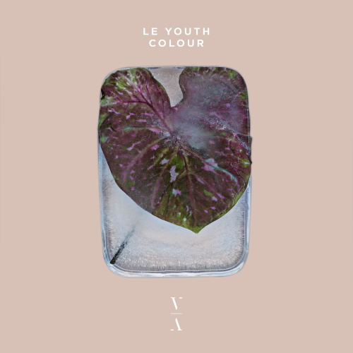 Le Youth - Colour (Original Mix)