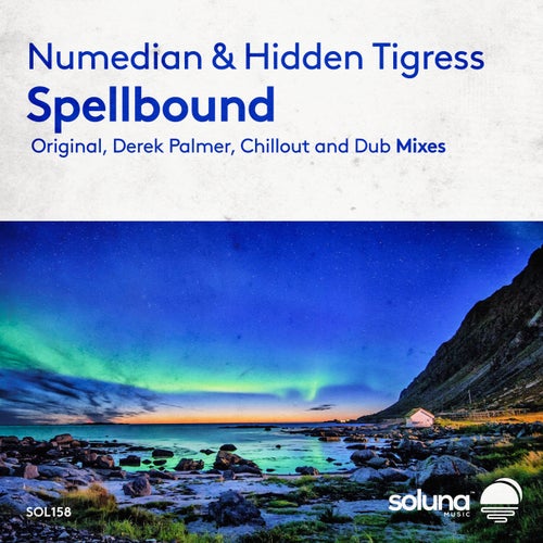 Numedian & Hidden Tigress - Spellbound (Dub Mix)