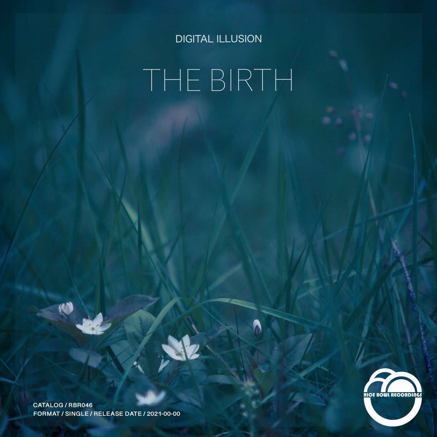 Digital Illusion - The Birth (Original Mix)