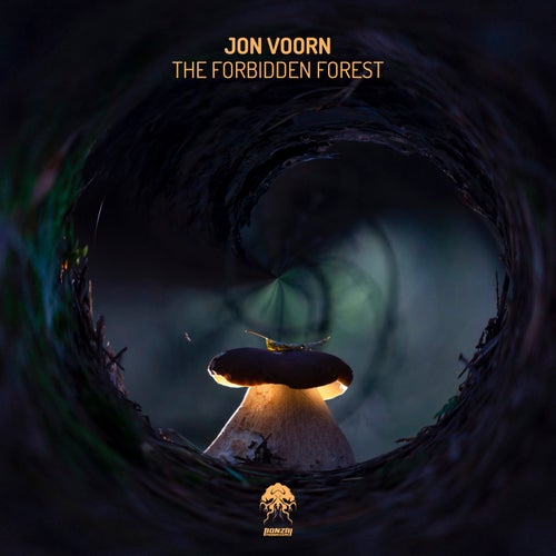 Jon Voorn - The Forbidden Forest (Original Mix)