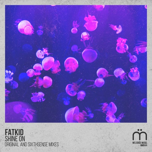 Fatkid - Shine On (Original Mix)