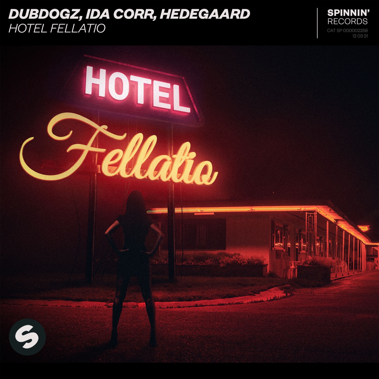 DubDogz, Ida Corr, Hedegaard - Hotel Fellatio (Extended Mix)