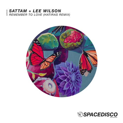 Lee Wilson, Sattam - Remember To Love (Hatiras Remix)