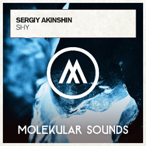 Sergiy Akinshin Feat. Amy Kirkpatrick - Shy (Extended Mix)