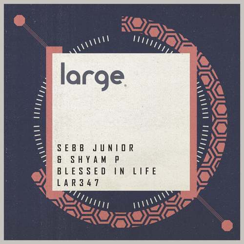 Sebb Junior, Shyam P - Blessed In Life (Extended Mix)