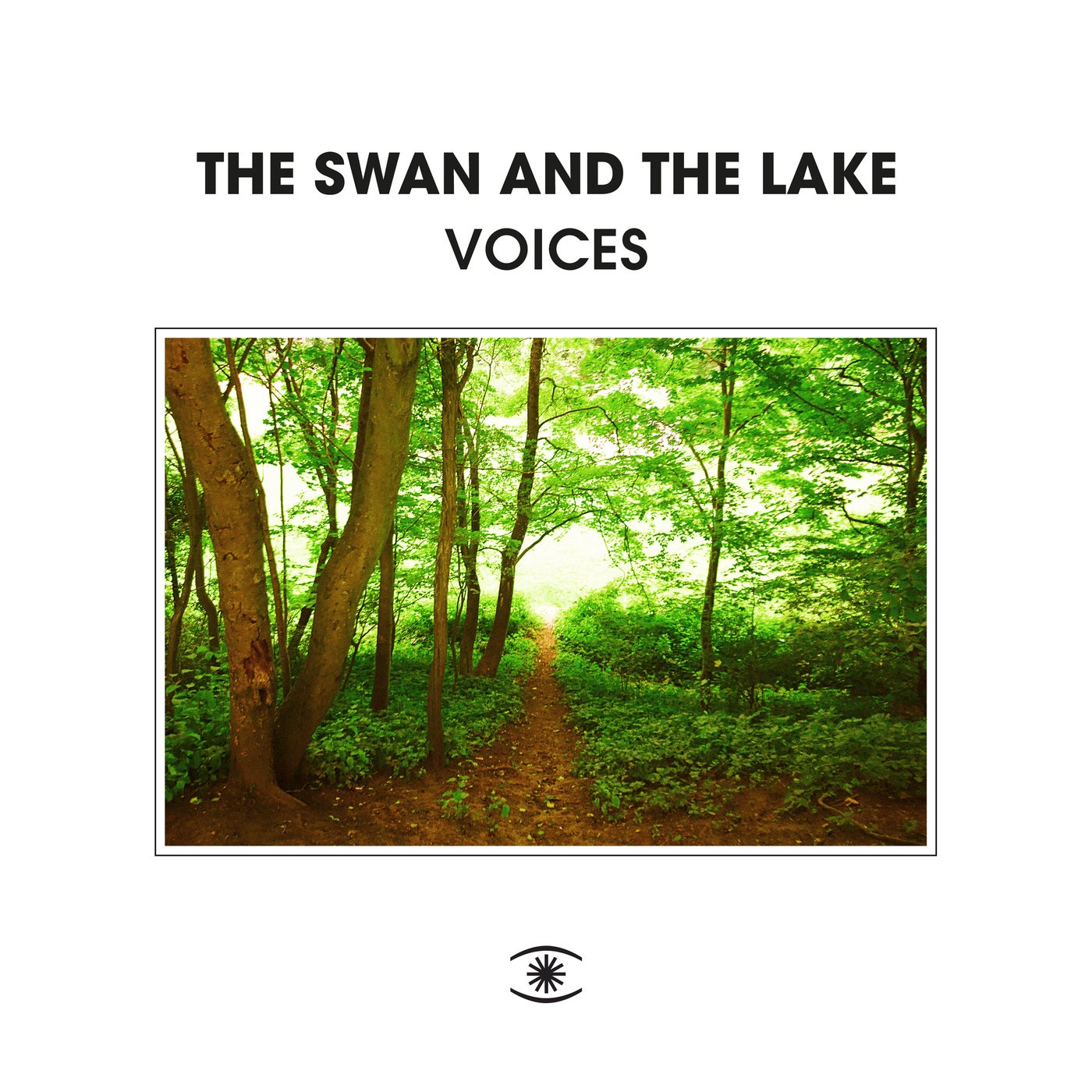 The Swan And The Lake - Son Shine