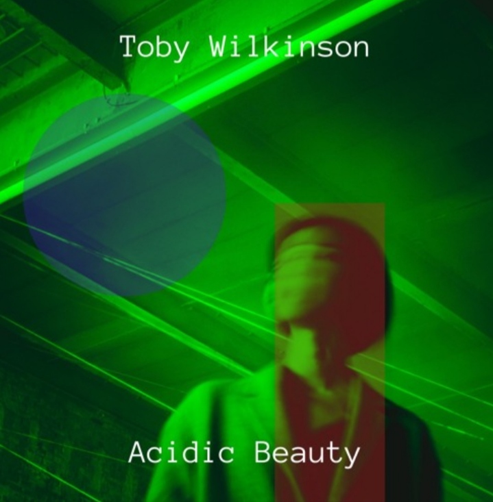 Toby Wilkinson - Acidic Beauty (Original Mix)