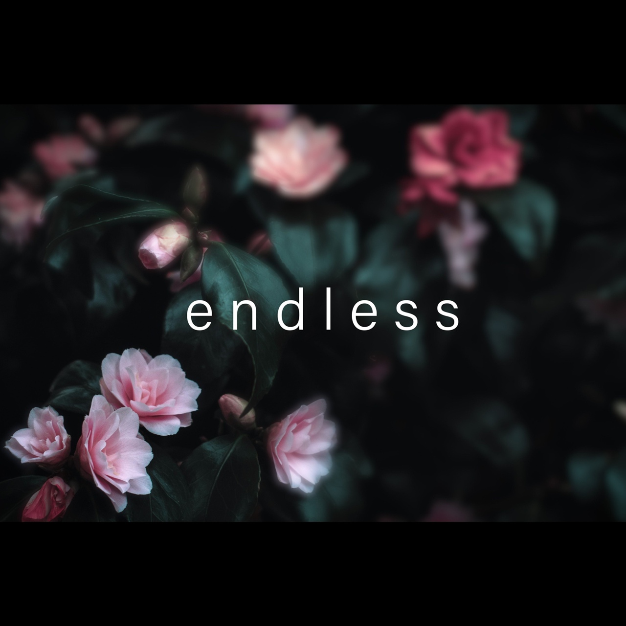 Brdges - Endless