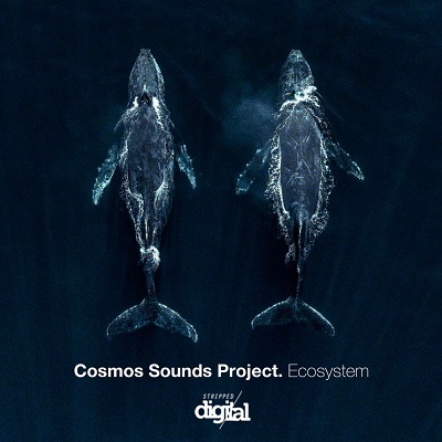 Cosmos Sounds Project - Ecosystem (Original Mix)