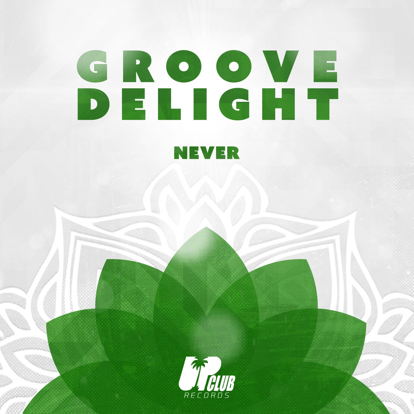 Groove Delight - Never (Extended Mix)