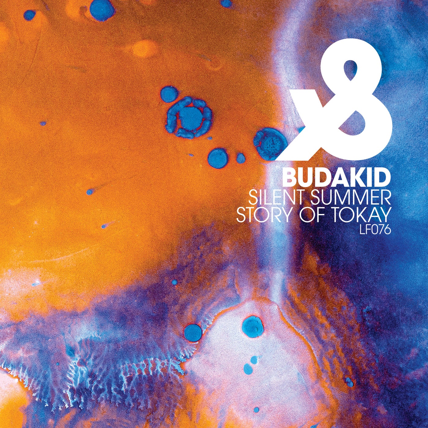 Budakid, Jamie Stevens - Story Of Tokay (Original Mix)