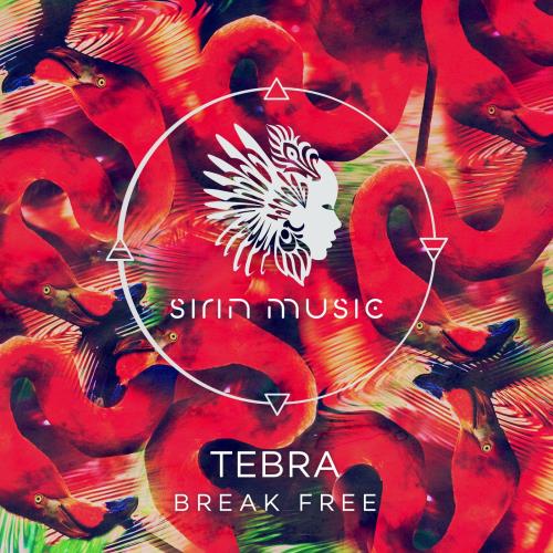Tebra, Raw Main, Elly Ball - Break Free (Original Mix)