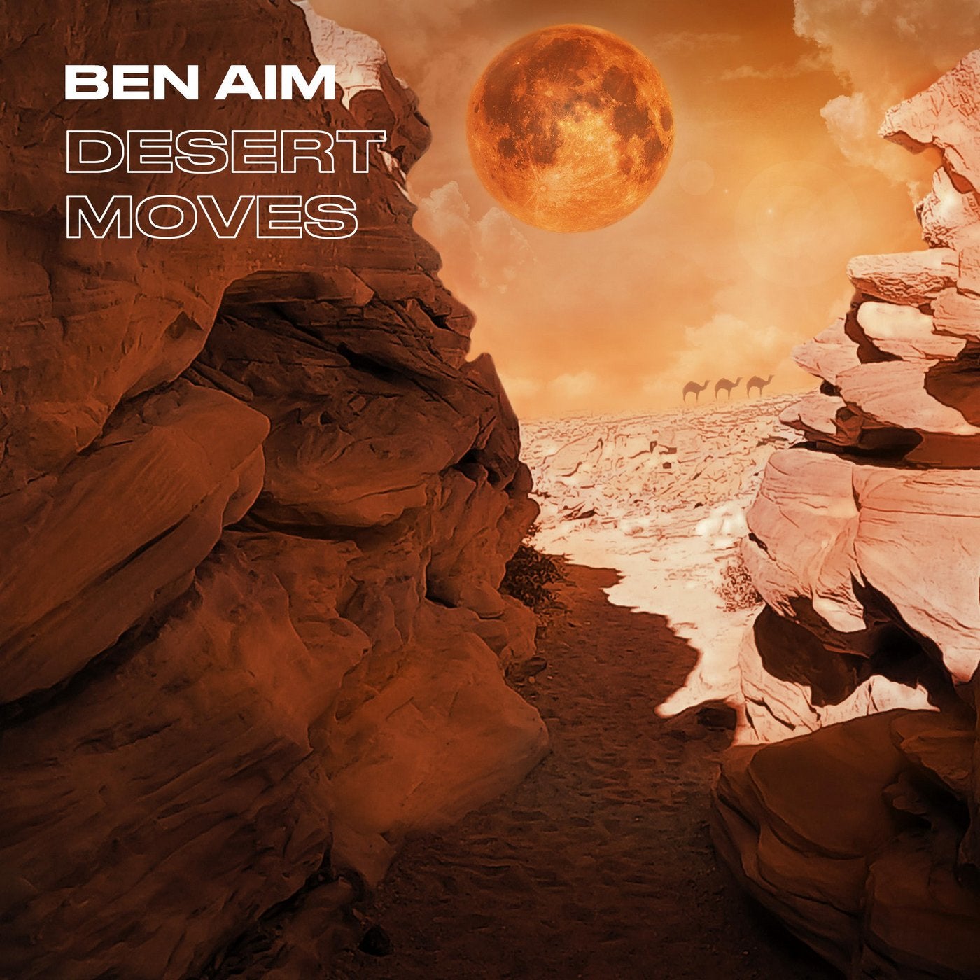 Ben Aim - Desert Moves