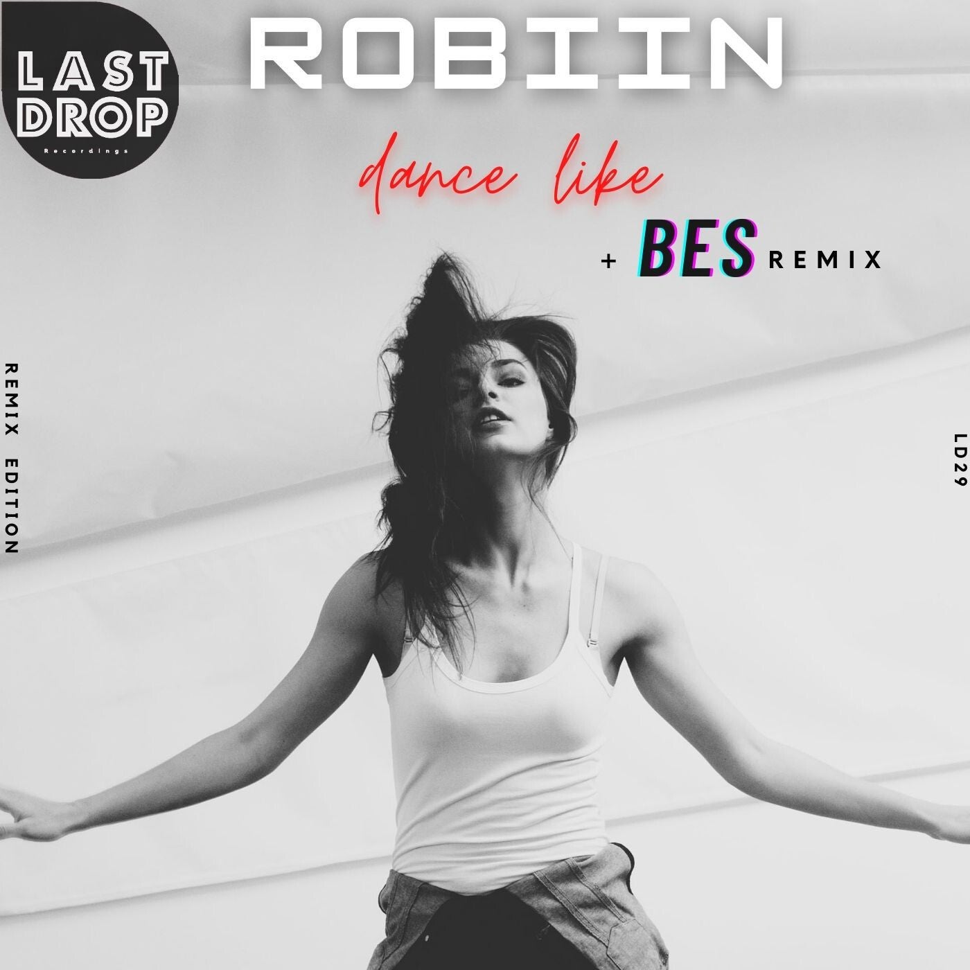 Robiin - Dance Like (Original Mix)