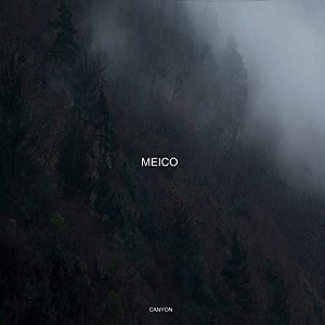 MeiCo - Fallen
