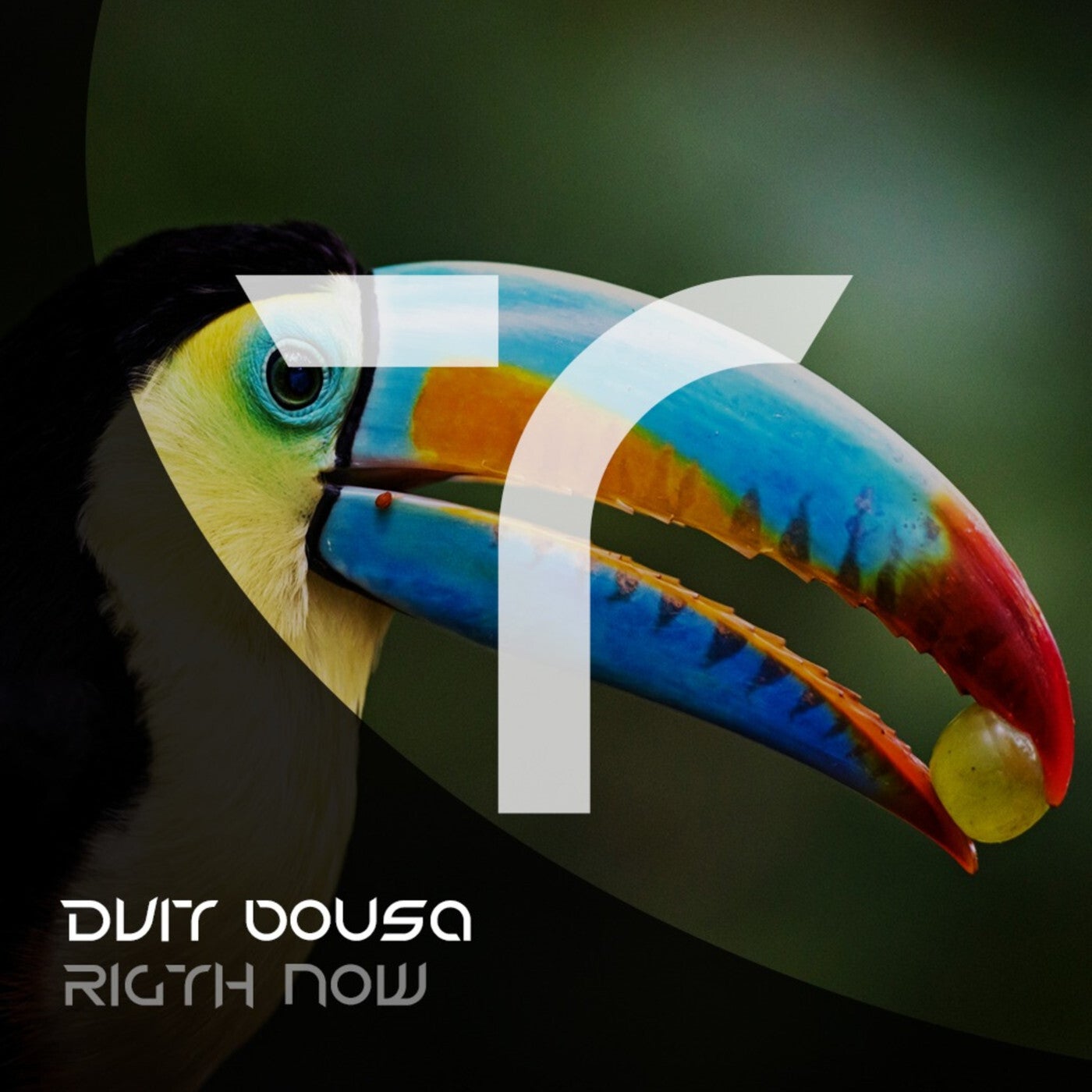 Dvit Bousa - Rigth Now (Original Mix)