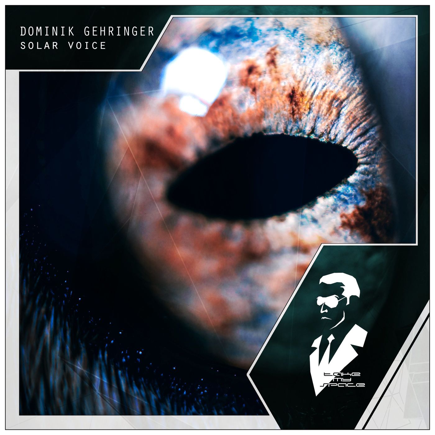 Dominik Gehringer - Solar Voice (Original Mix)