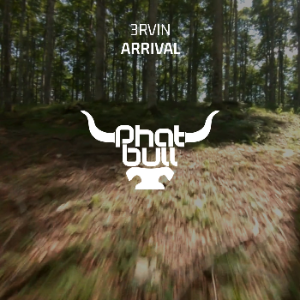 3Rvin - Arrival (Extended Mix)