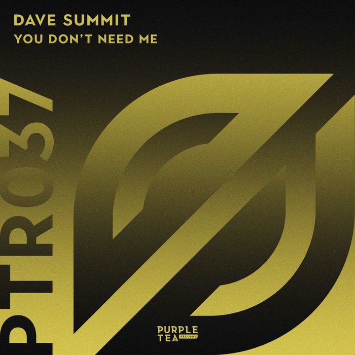 Dave Summit - You Don't Need Me (Original Mix)