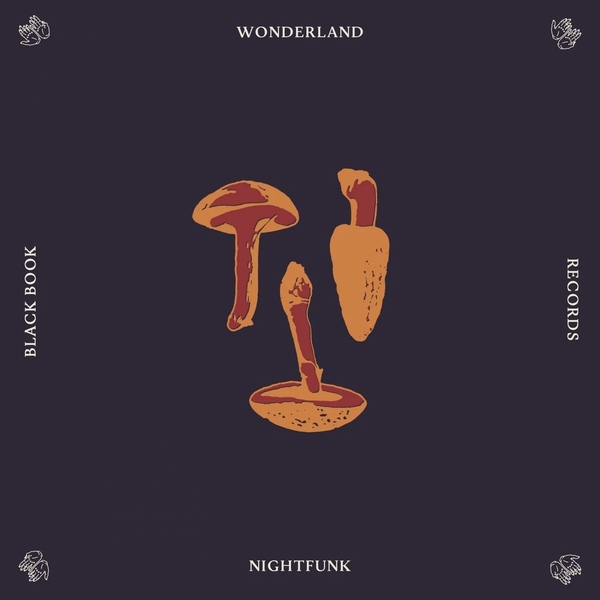 NightFunk - Wonderland (Original Mix)