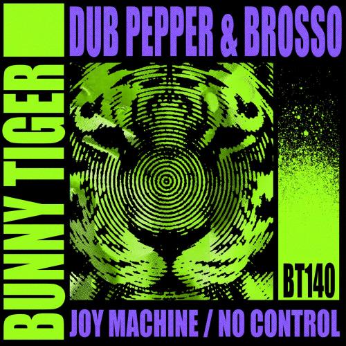 Brosso, Dub Pepper - No Control (Original Mix)