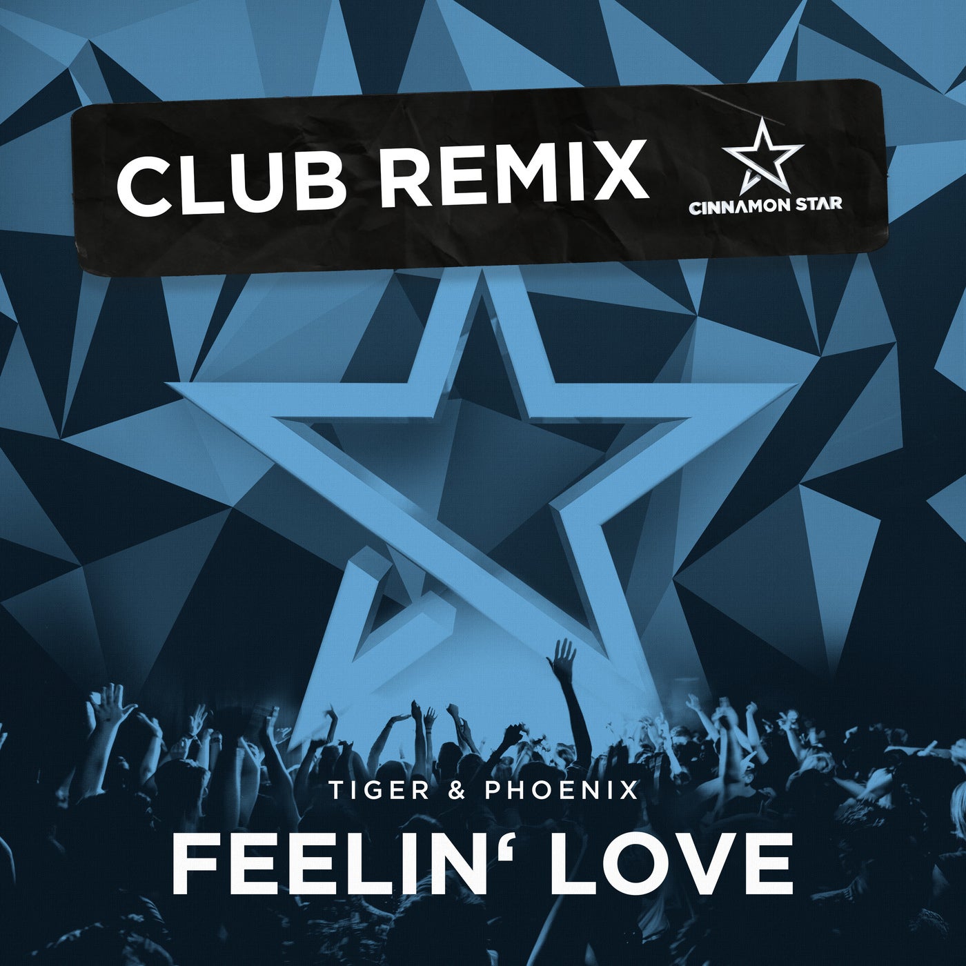 Tiger & Phoenix - Feelin' Love (Club Remix)