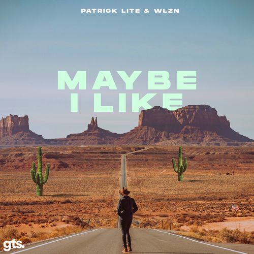 Patrick Lite & WLZN - Maybe I Like (Original Mix)
