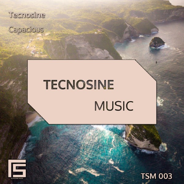 Tecnosine - Capacious (Original Mix)