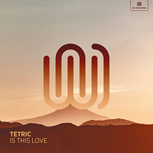 Tetric - Is This Love