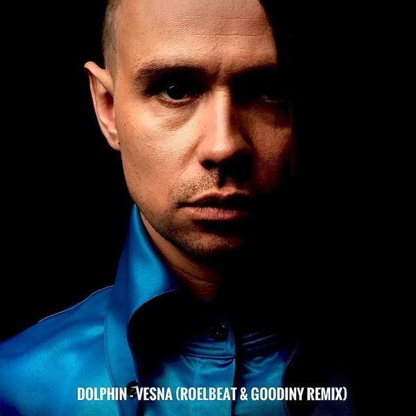 Dolphin - Vesna  (RoelBeat & Goodiny Remix)