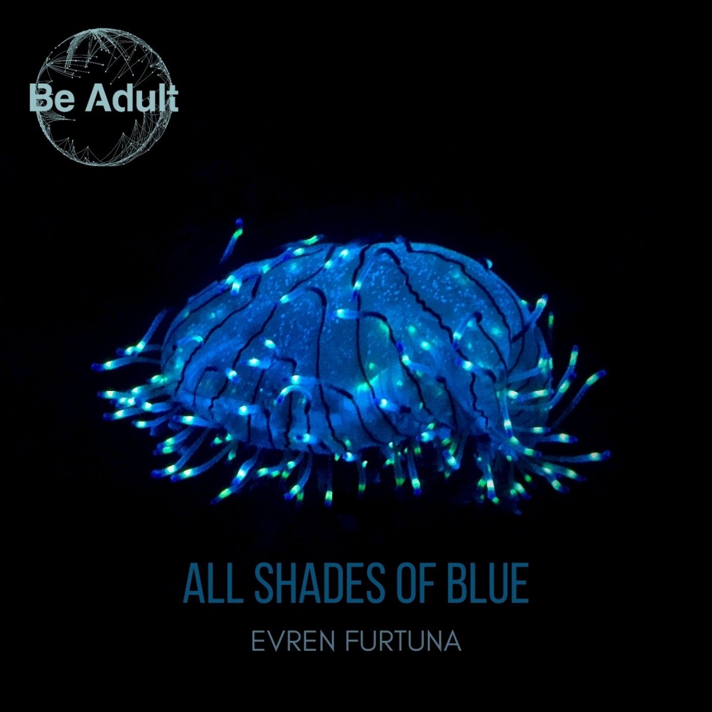 Evren Furtuna - All Shades of Blue (Original Mix)