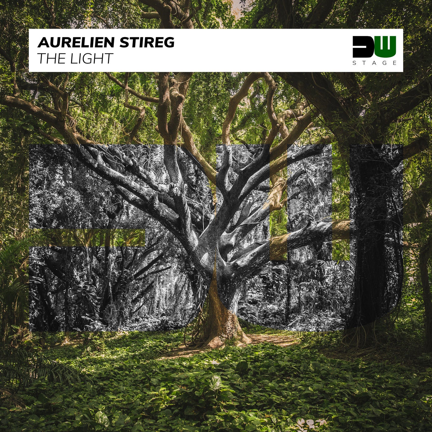 Aurelien Stireg - The Light (Original Mix)