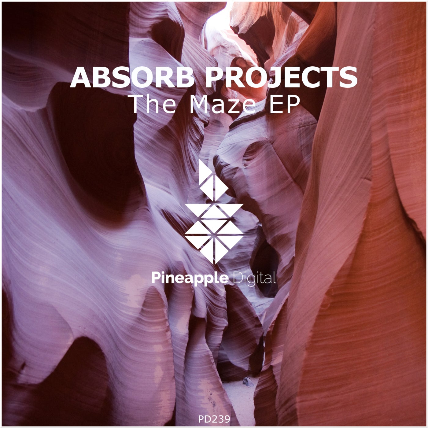 Absorb Projects - Globe (Original Mix)