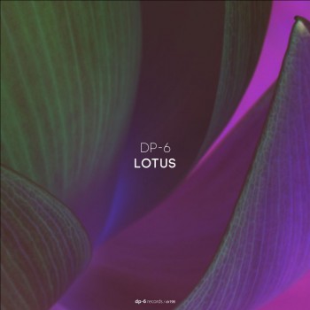 DP-6 - Lotus (Original Mix)