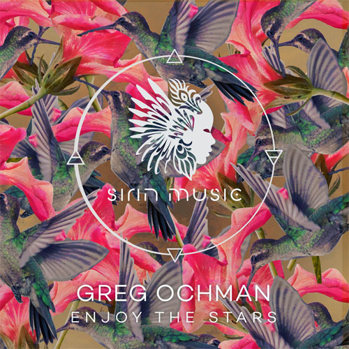 Greg Ochman - Enjoy The Stars (Original Mix)