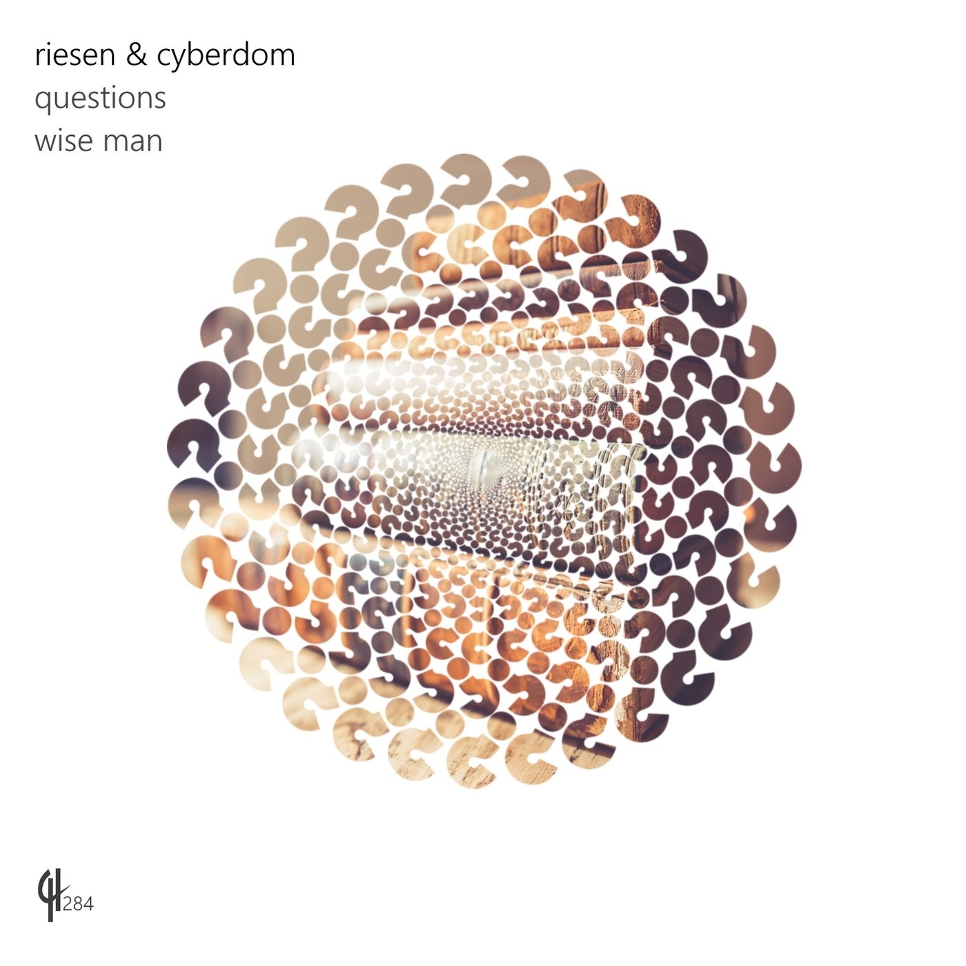 Riesen, Cyberdom - Questions (Original Mix)