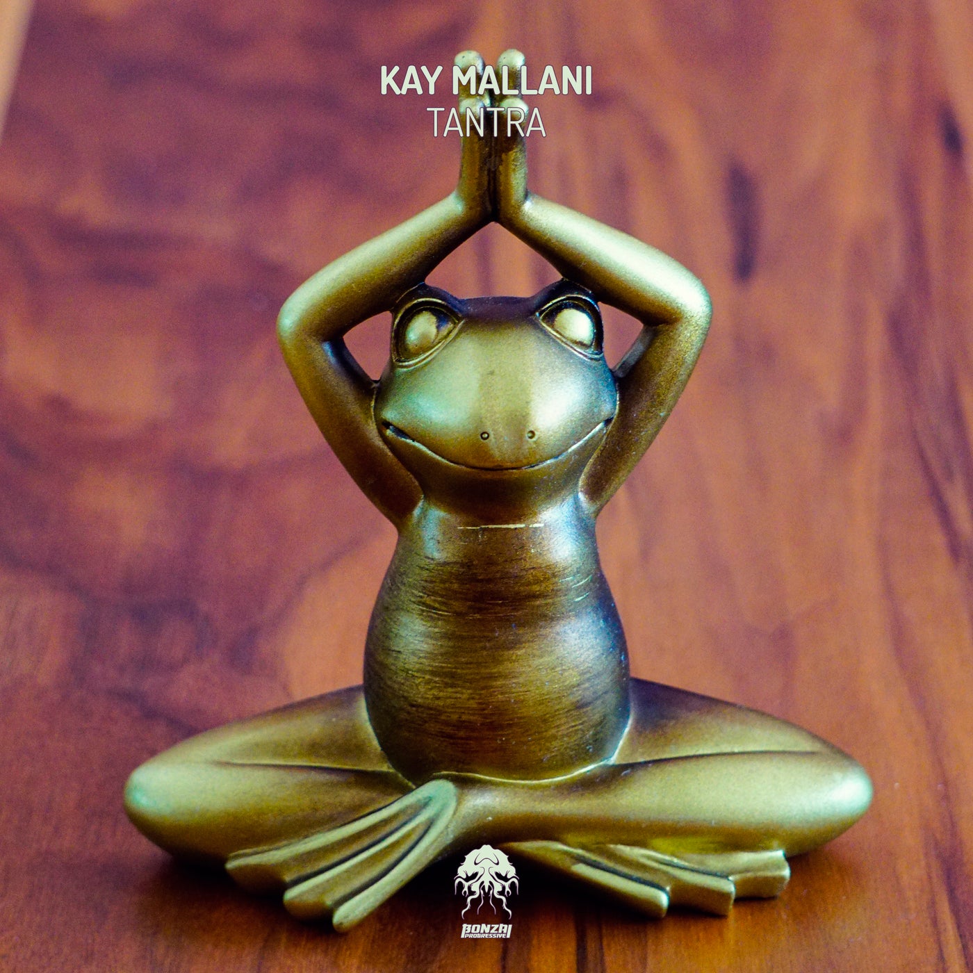 Kay Mallani - Everything Is Shiva (Original Mix)