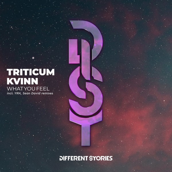 Kvinn, Triticum - What You Feel (Sean David Remix)