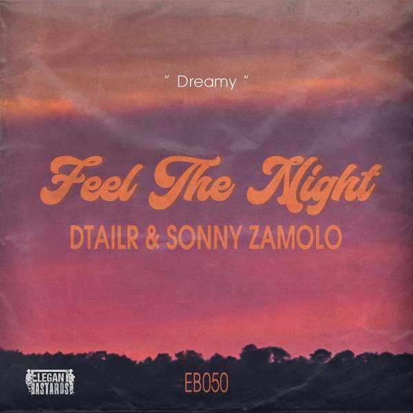 Dtailr & Sonny Zamolo - Feel The Night (Extended Mix)