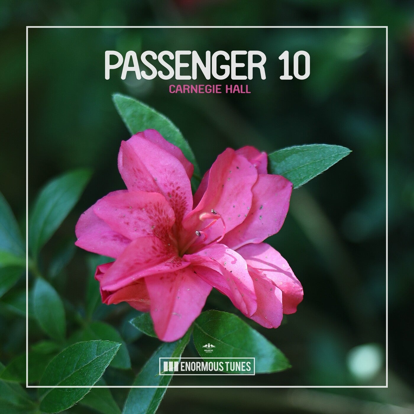 Passenger 10 - Carnegie Hall (Extended Mix)