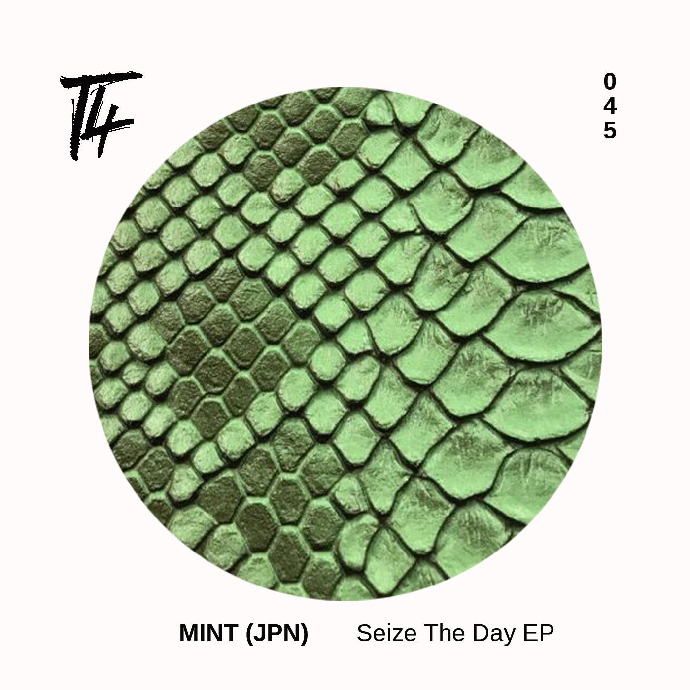 Mint (JPN) - Seize The Day (Original Mix)