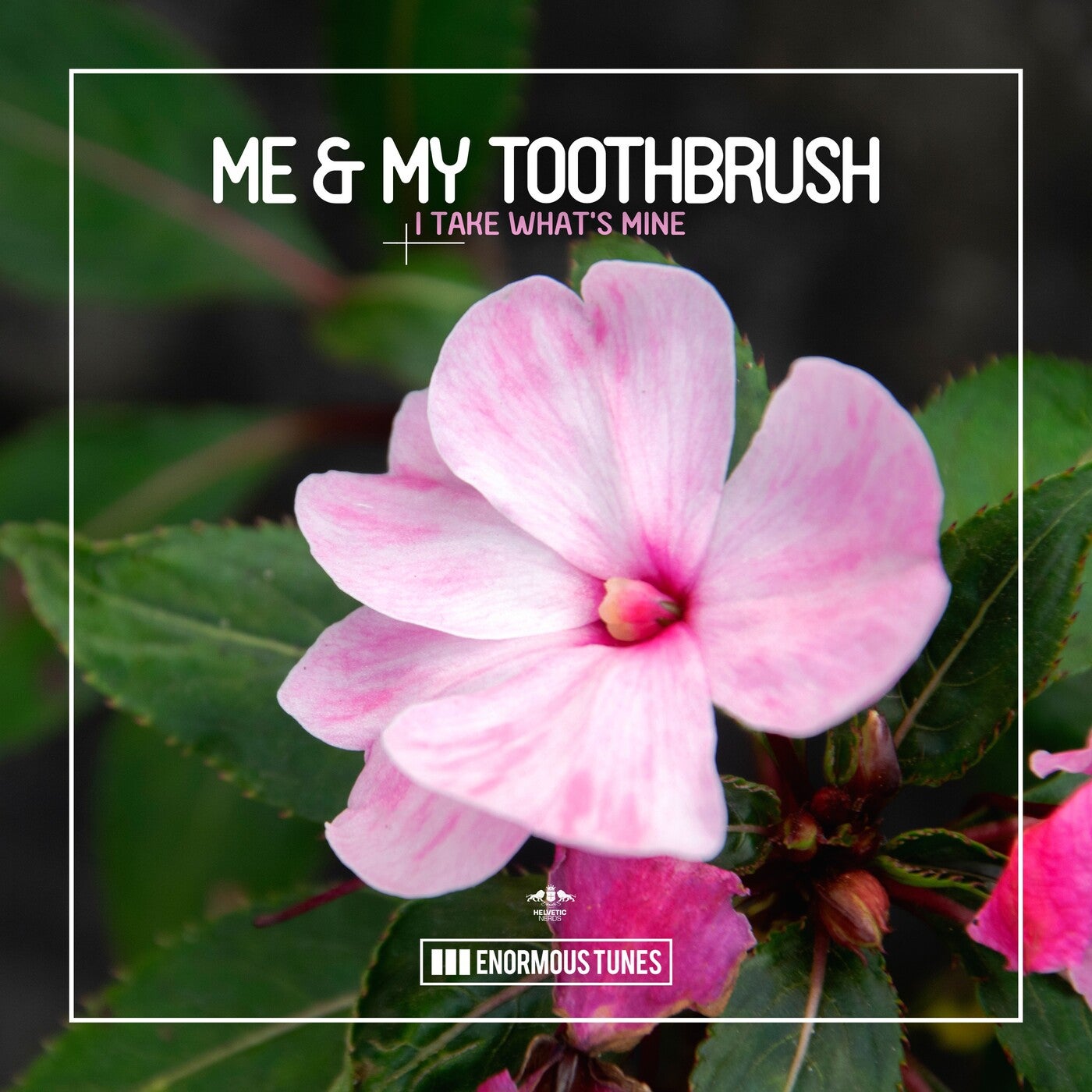 Me & My Toothbrush - I Take What's Mine (Extended Mix)