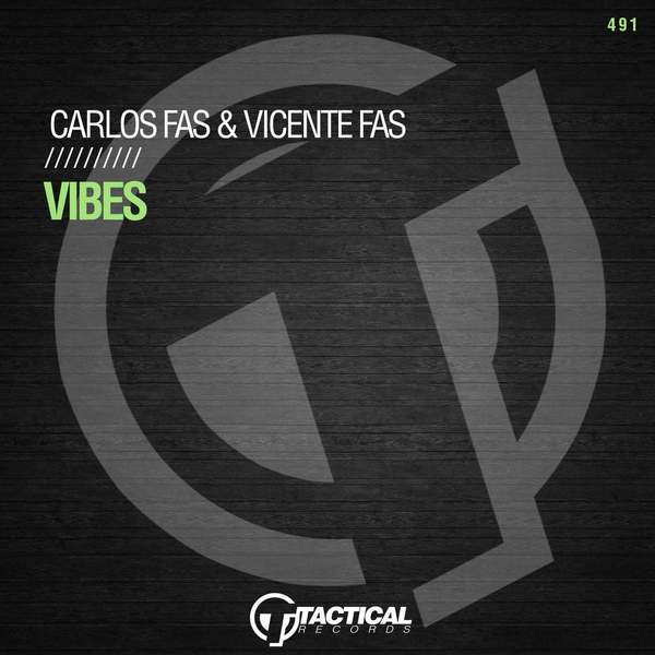 Carlos Fas & Vicente Fas  Vibes (Original Mix)