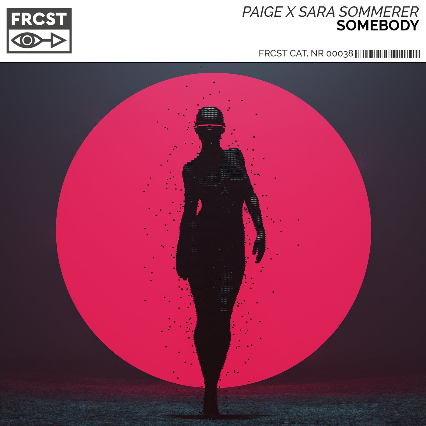 Paige x Sara Sommerer - Somebody (Extended Mix)